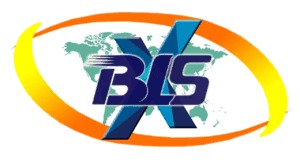 BLSX logo