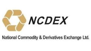 NCDEX logo